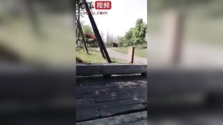 网红刘婷精彩演绎晨练跑友搭讪公园里的性感妹子在树荫下大战